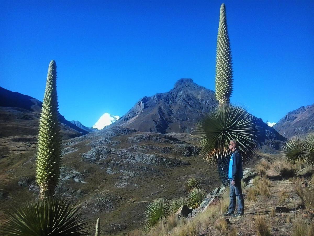 Laguna House Hotel Huaraz  Bagian luar foto